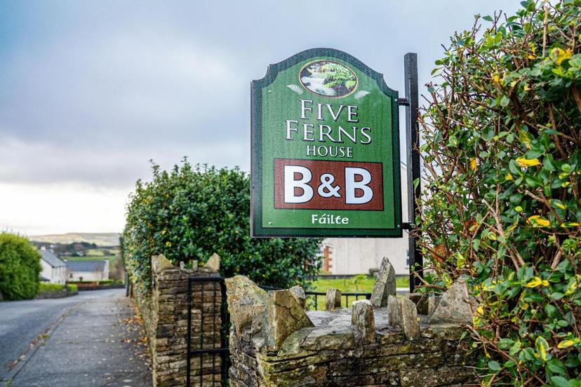 Five Ferns House image 1