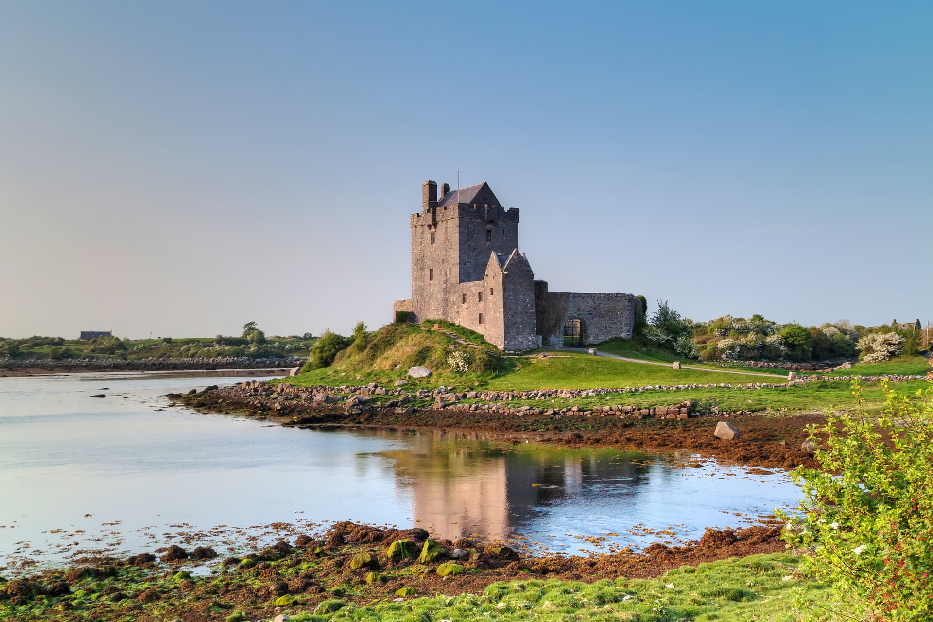 Dunguaire Castle on a grassy mound reflected in calm water with seaweed-covered shore.