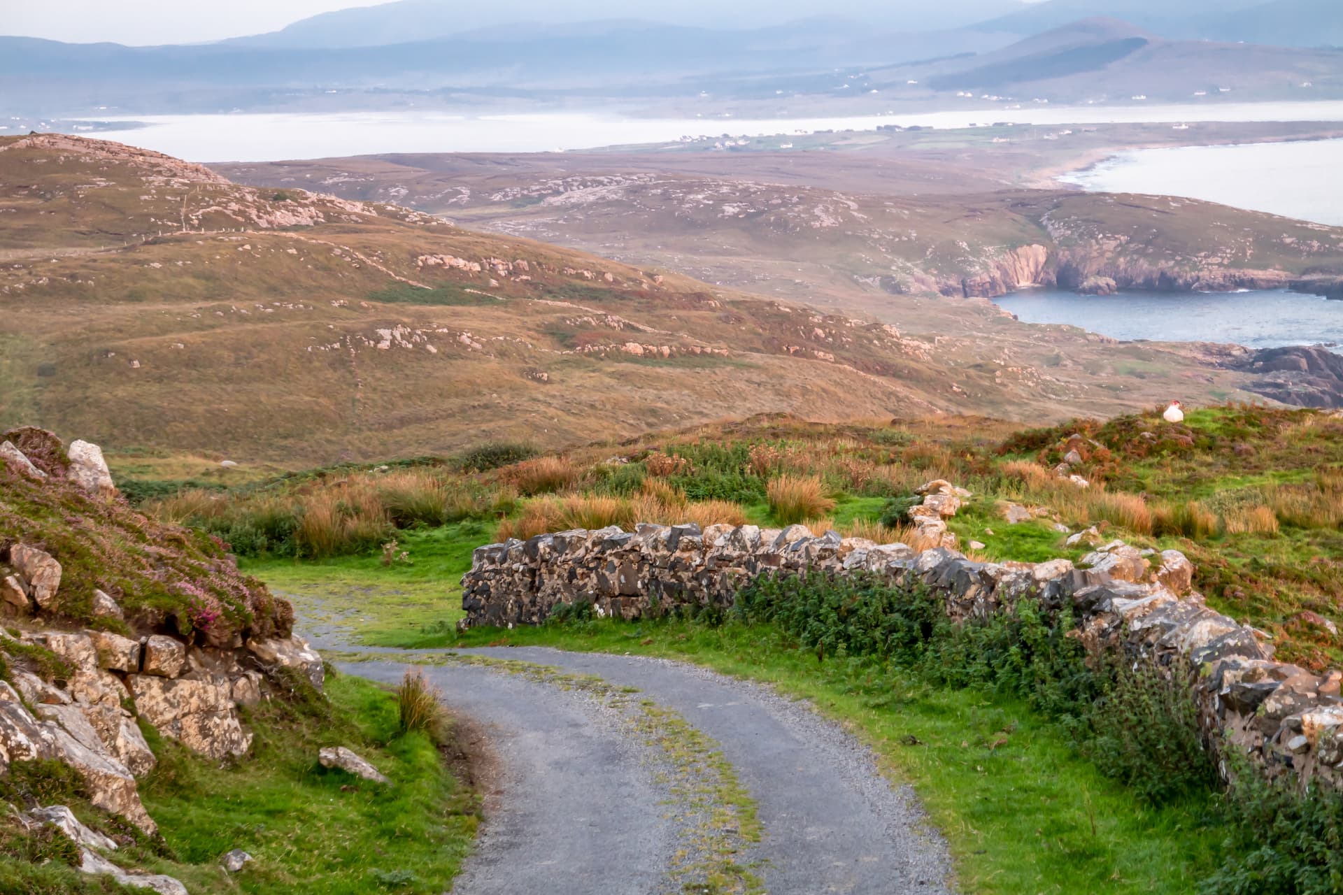Quiet gravel road winding through green hills overlooking a misty coastline in Donegal.