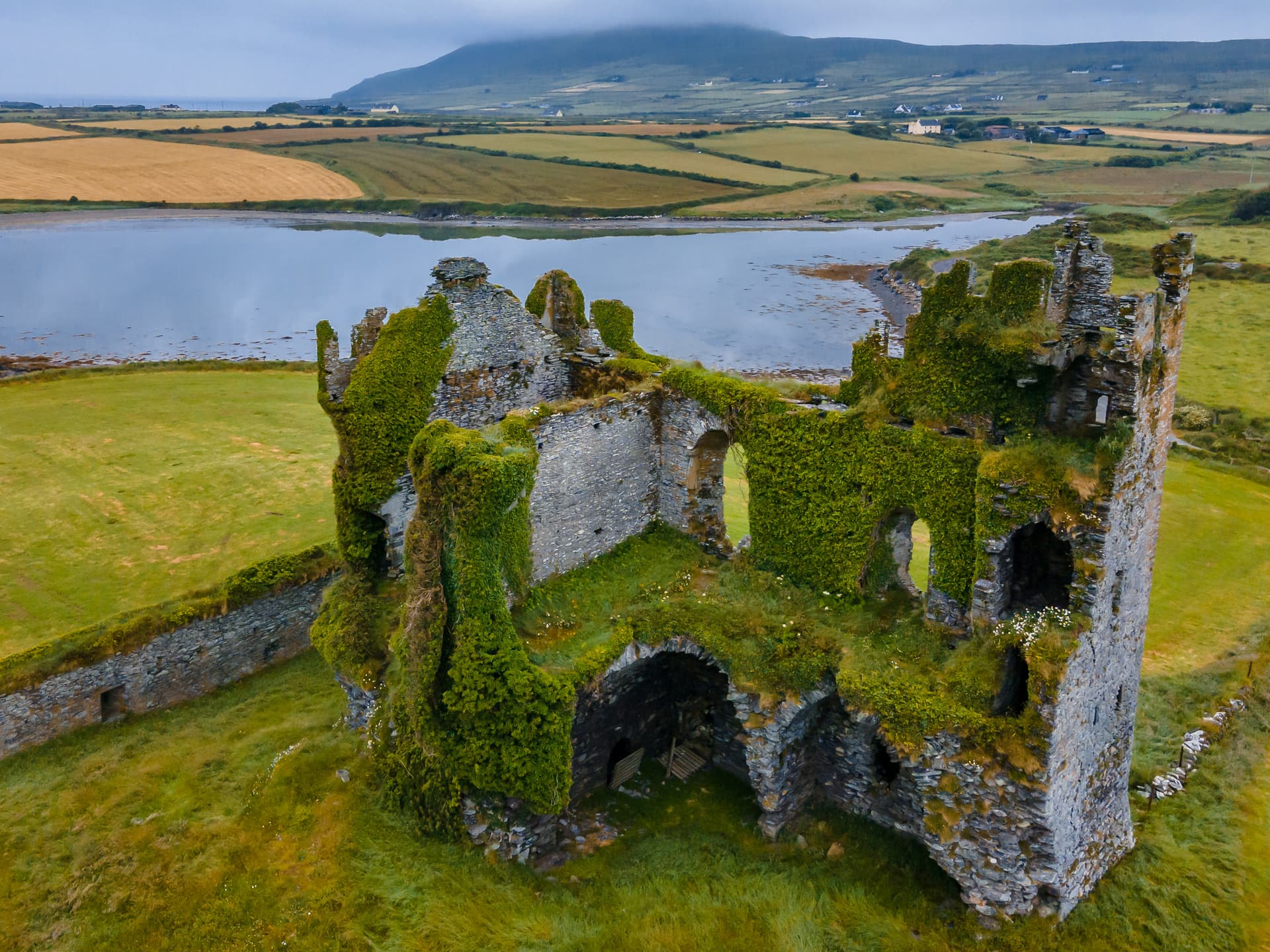 Ballycarberry Castle ruins covered in ivy, overlooking water, fields, and a distant mountain.