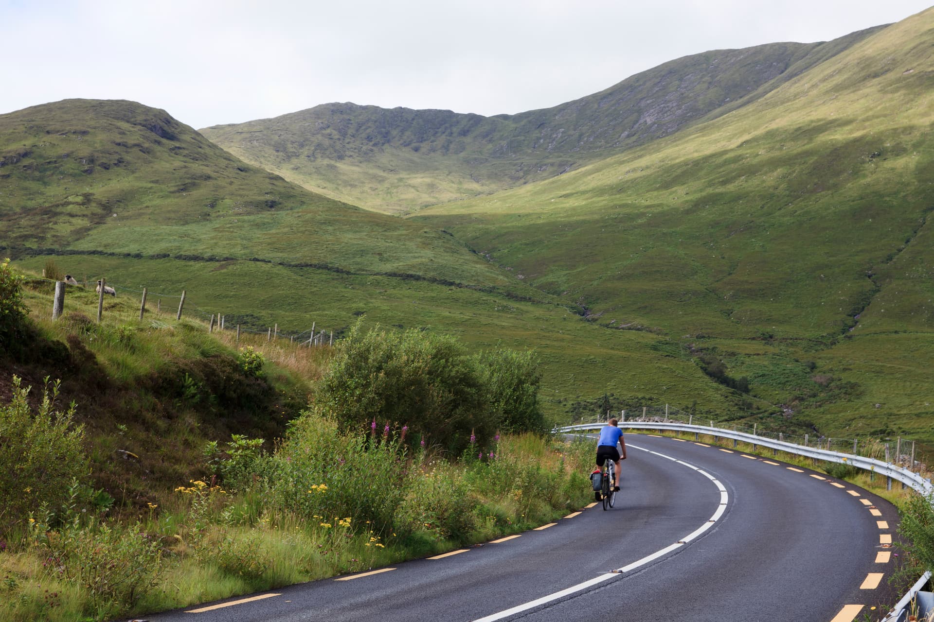 Cyclist riding on winding road through green rolling hills in Connemara.