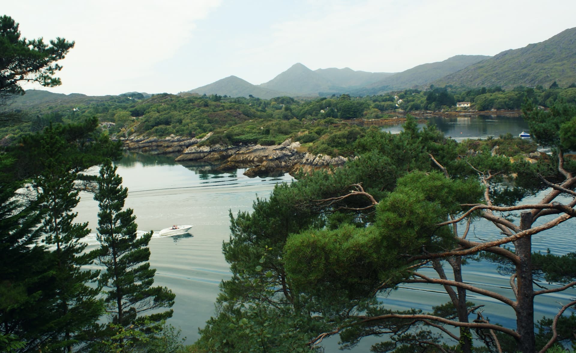 Speedboat moving across inlet water framed by lush green trees and mountains.