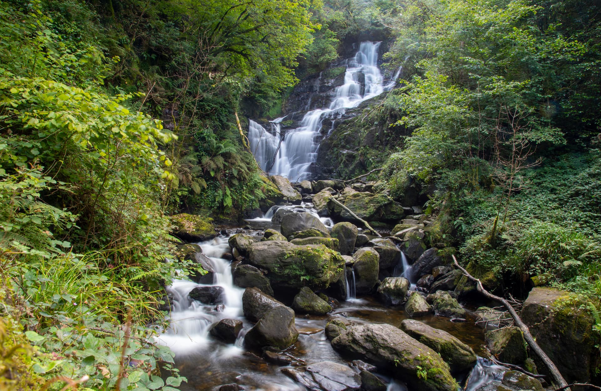 Torc Waterfall cascading down rocks surrounded by lush green foliage in Killarney National Park.