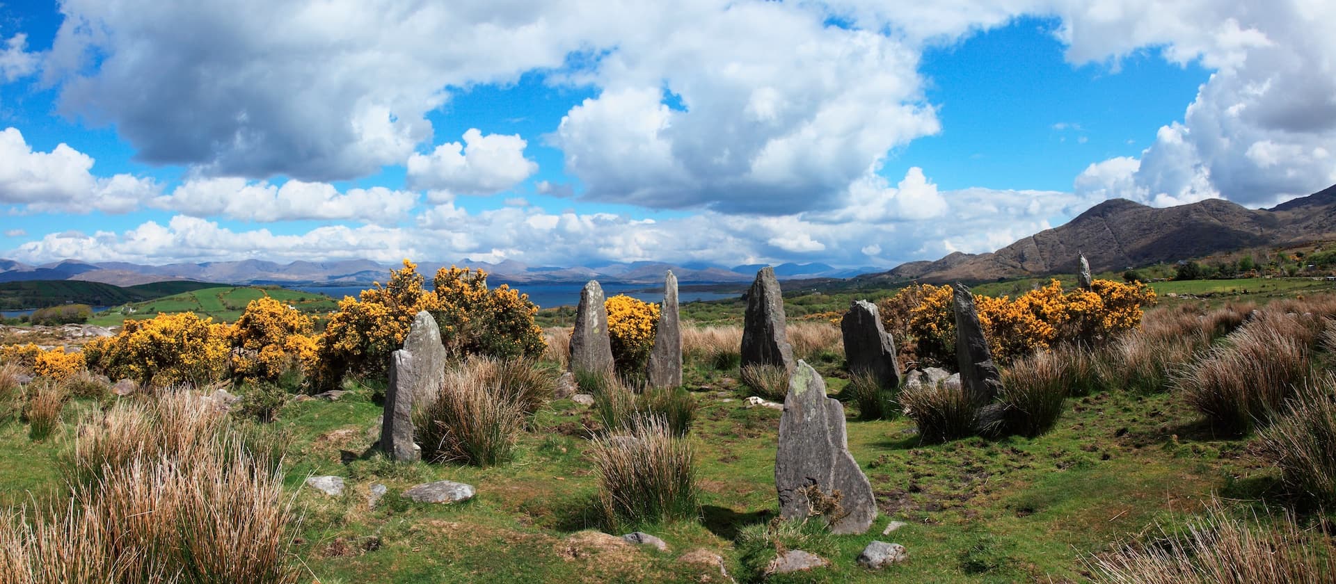 Ardgroom stone circle with yellow gorse bushes, mountains, and blue sky.