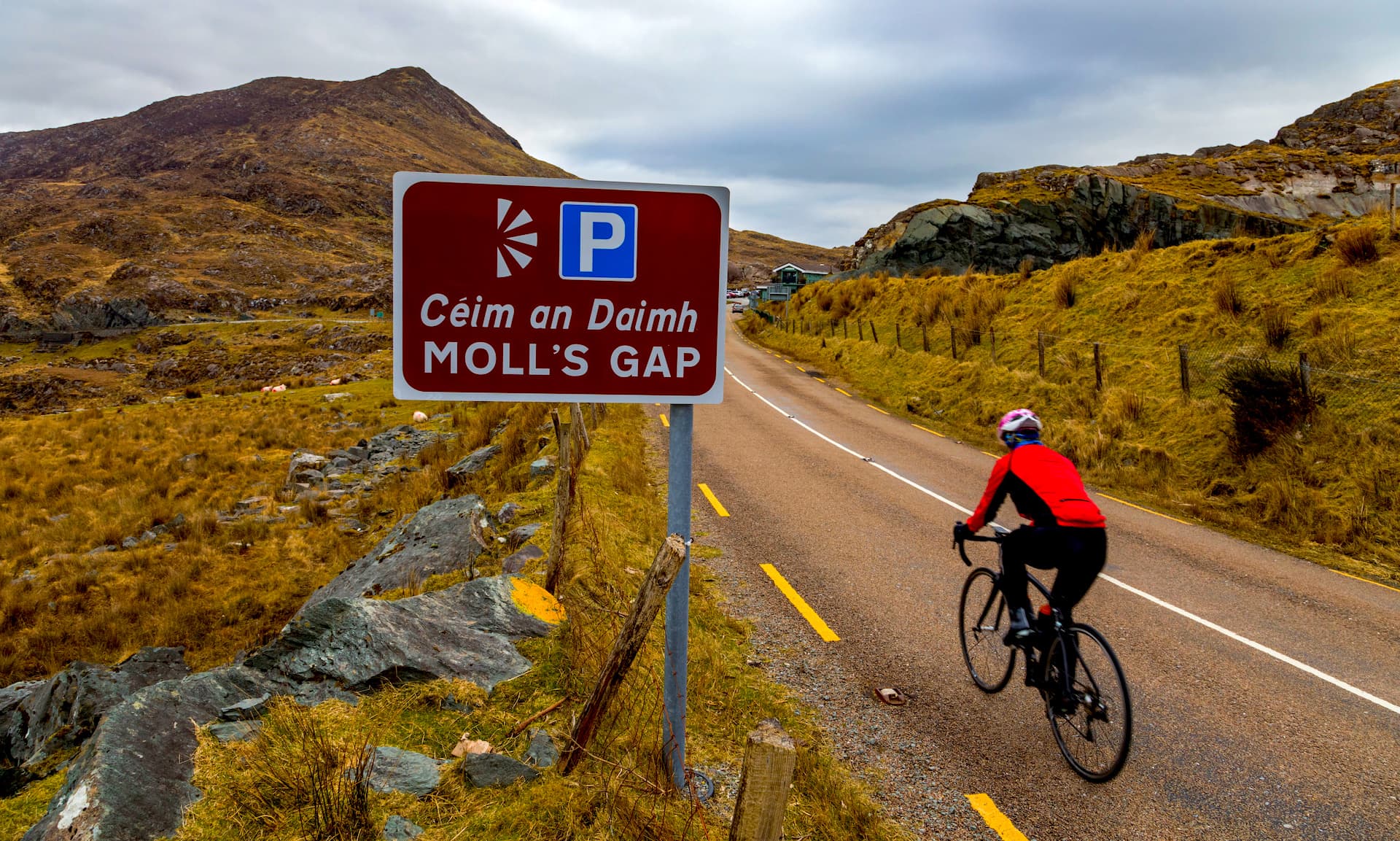 Cyclist riding past Moll's Gap sign in mountainous, grassy landscape
