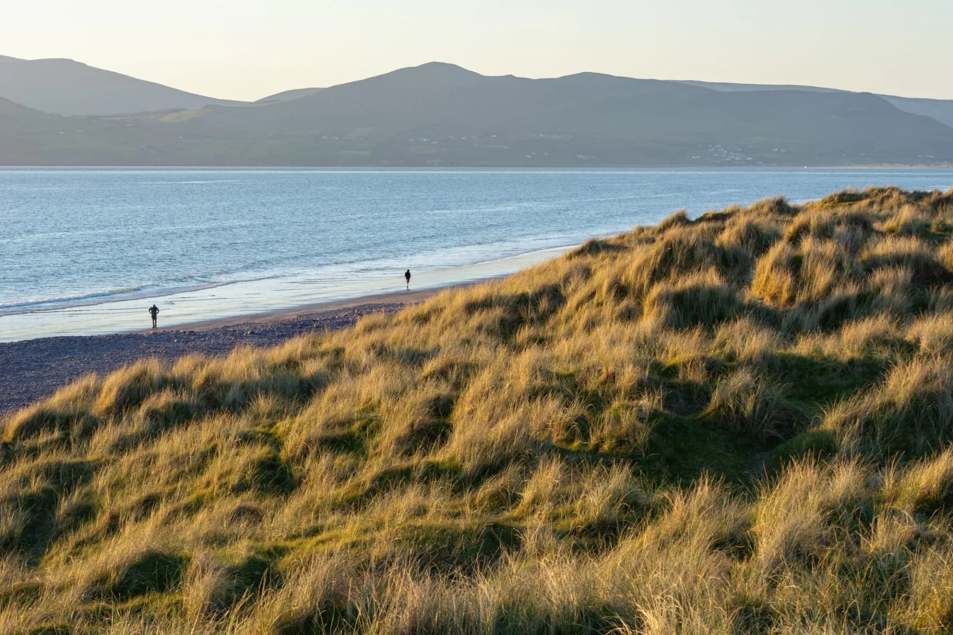 Beach walkers by grassy dunes with mountains across the water at Rossbeigh.