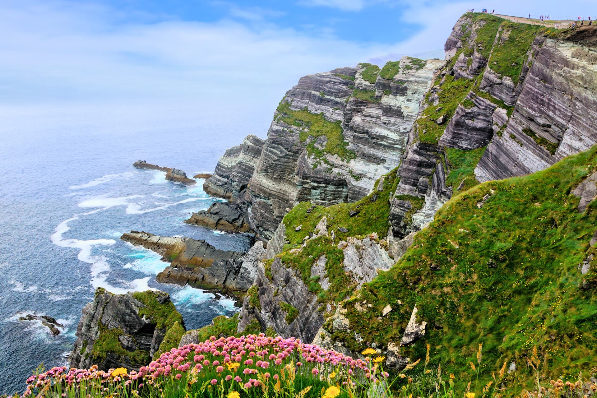 Cliffs of Kerry with layered rock, green grass, and pink wildflowers overlooking the sea.