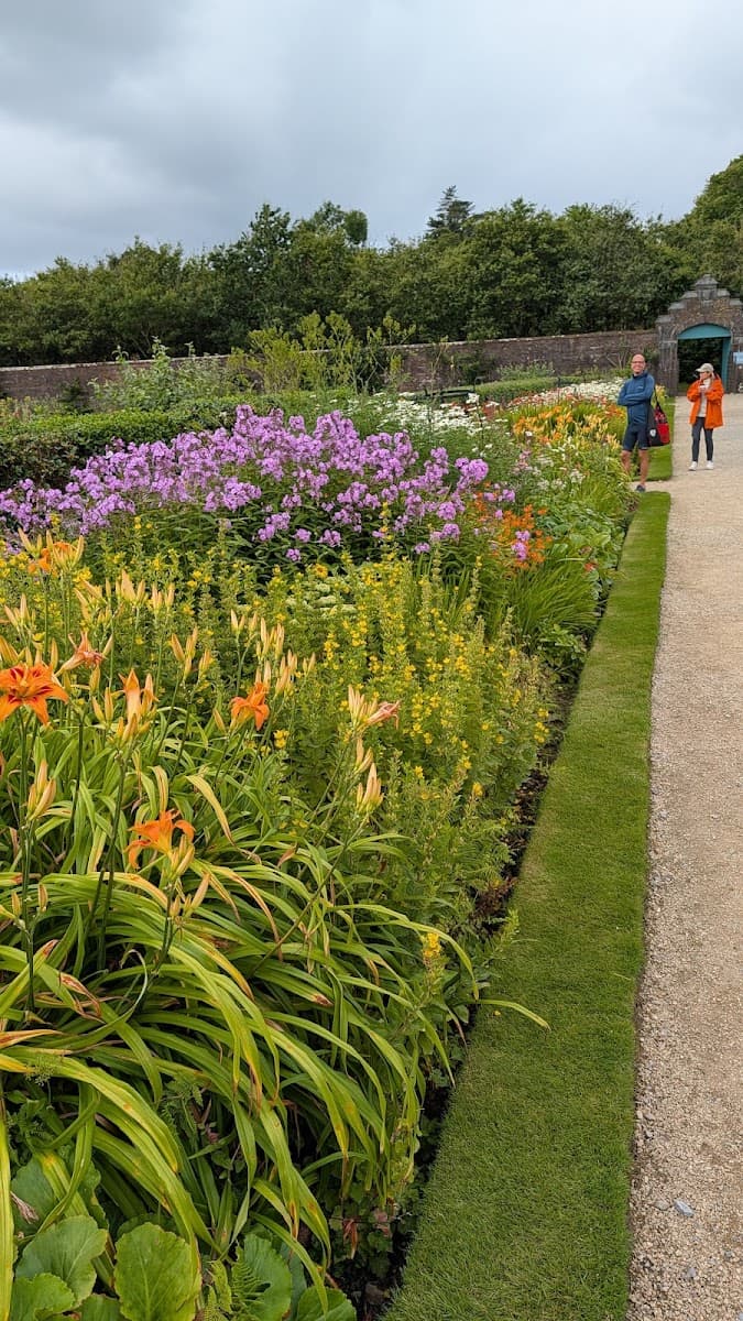 Lush botanical garden with colorful flowers along a gravel walking path and stone wall
